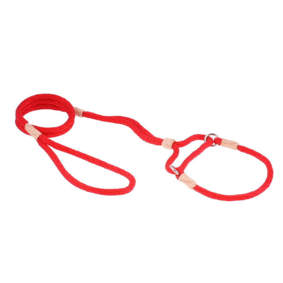 Nylon Martingale Leads (10 in x 1/4 in or 6 mm) - Pets Perfect