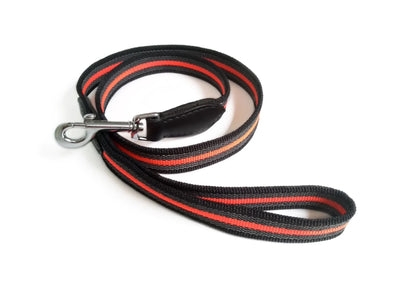 Reflective Anti-Slip Snap Dog Leash (4 ft x 1 in) - Pets Perfect