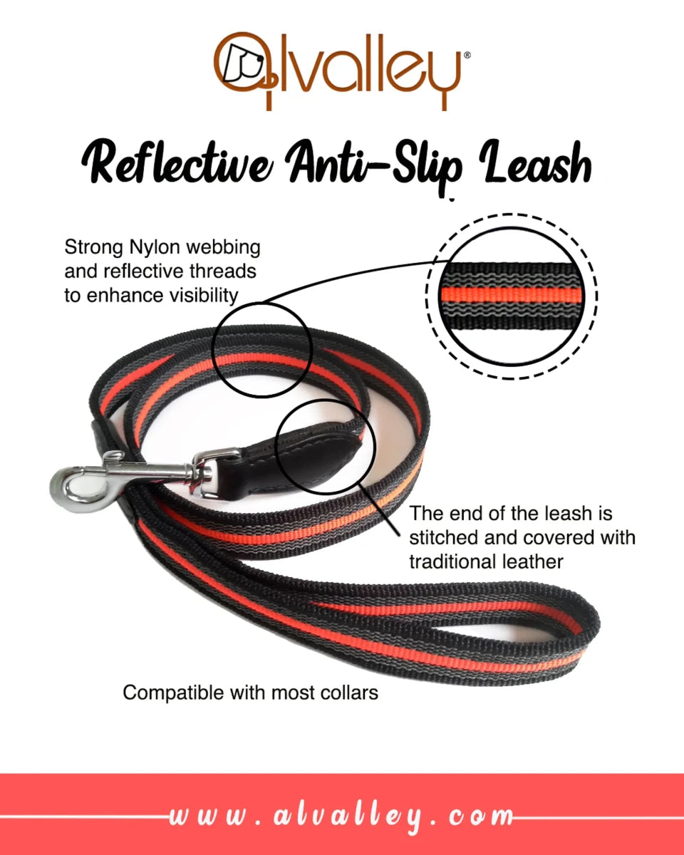 Reflective Anti-Slip Snap Dog Leash (4 ft x 1 in) - Pets Perfect