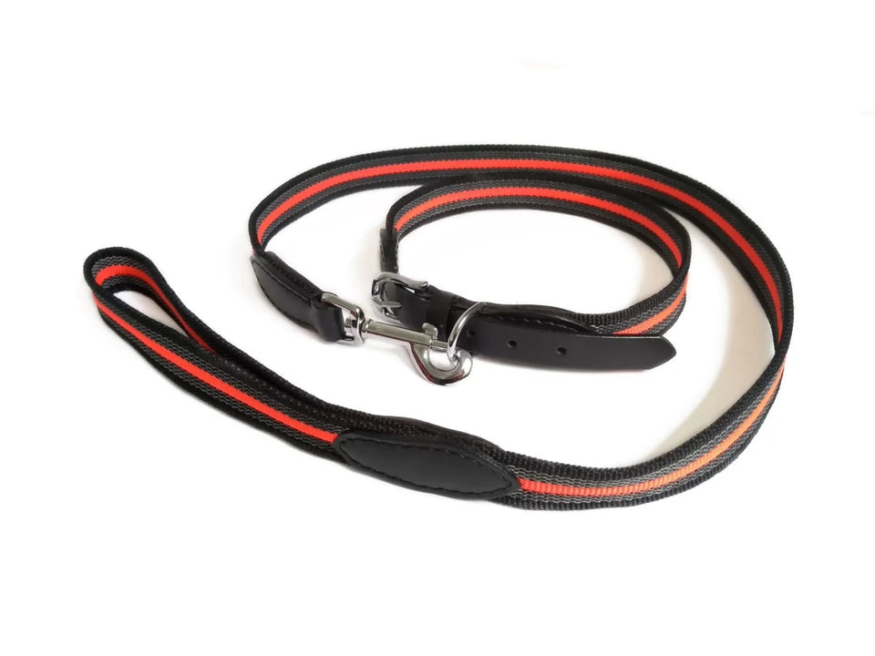 Reflective Anti-Slip Snap Dog Leash (6 ft x 3/4 in) - Pets Perfect