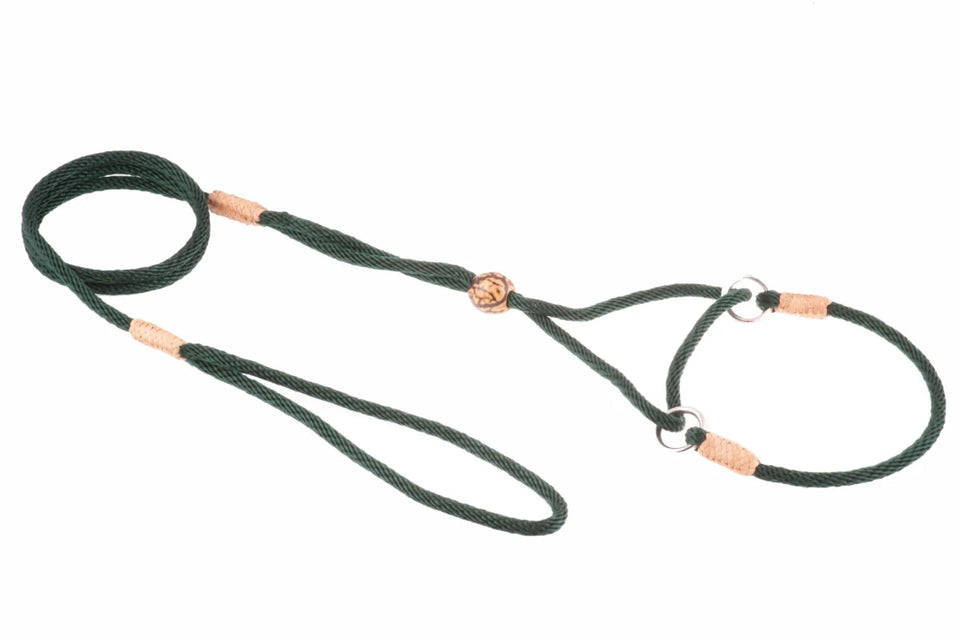 Nylon Martingale Leads (8 in x 1/8 in or 4 mm) - Pets Perfect