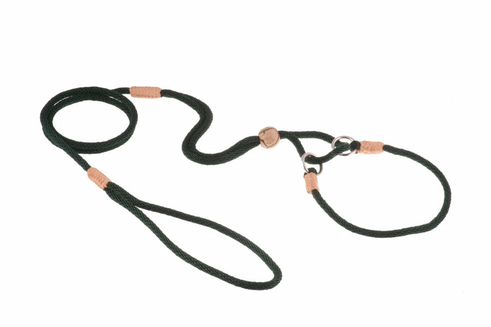 Nylon Martingale Leads (10 in x 1/8 in or 4 mm) - Pets Perfect