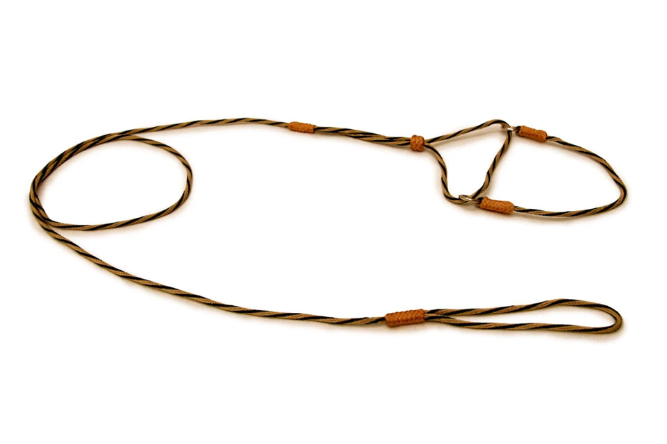 Nylon Martingale Leads (8 in x 1/16 or 2 mm) - Pets Perfect