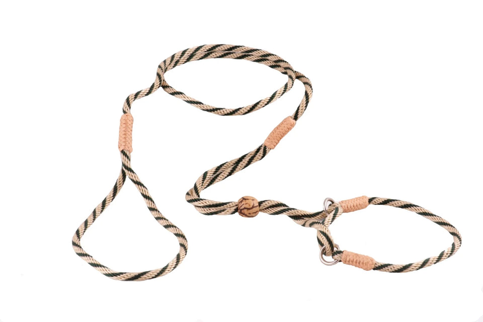 Nylon Martingale Leads (8 in x 1/8 in or 4 mm) - Pets Perfect