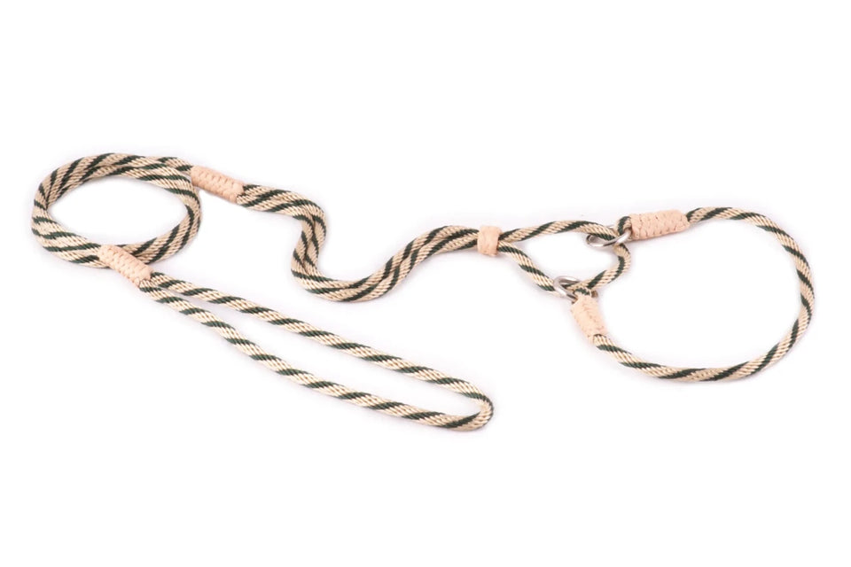 Nylon Martingale Leads (10 in x 1/8 in or 4 mm) - Pets Perfect