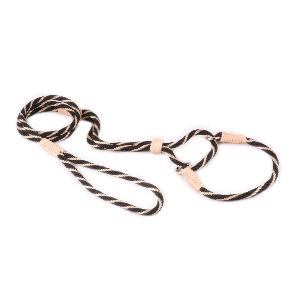 Nylon Martingale Leads (10 in x 1/4 in or 6 mm) - Pets Perfect