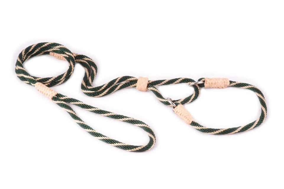Nylon Martingale Leads (10 in x 1/4 in or 6 mm) - Pets Perfect