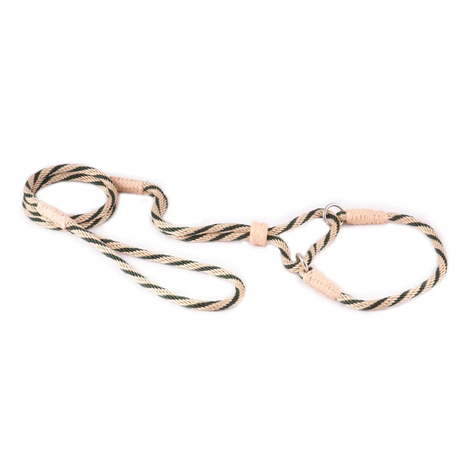 Nylon Martingale Leads (10 in x 1/4 in or 6 mm) - Pets Perfect