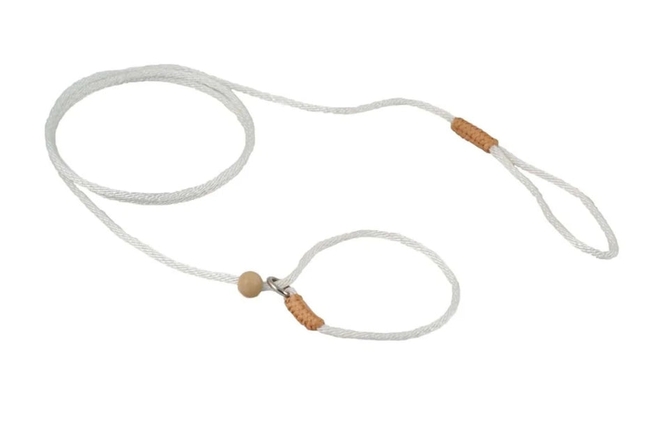 Nylon Slip Lead With Stopper (4 ft x 1/16 or 2 mm) - Pets Perfect