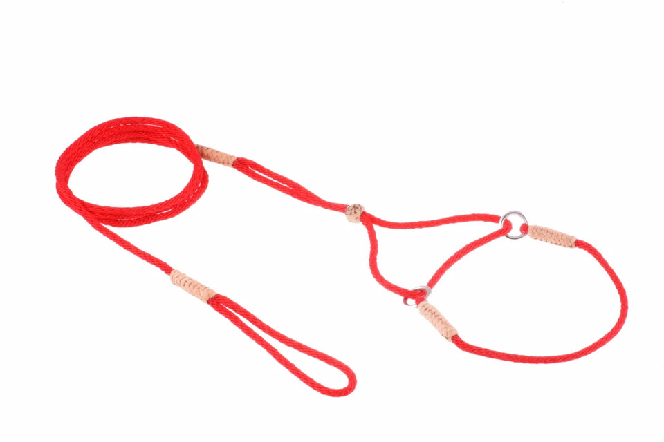 Nylon Martingale Leads (8 in x 1/16 or 2 mm) - Pets Perfect