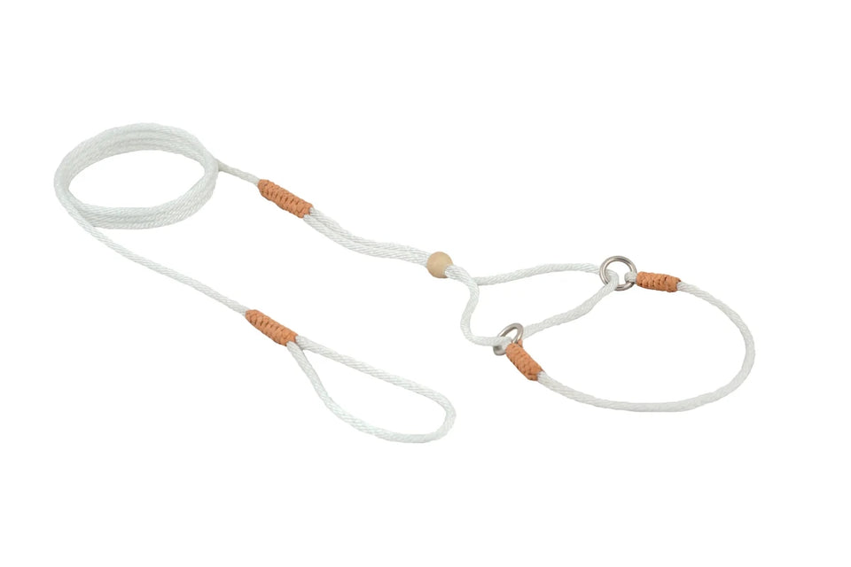 Nylon Martingale Leads (8 in x 1/16 or 2 mm) - Pets Perfect