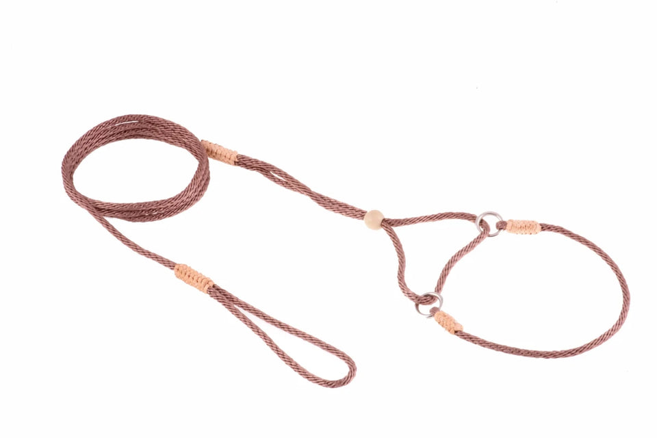 Nylon Martingale Leads (8 in x 1/16 or 2 mm) - Pets Perfect