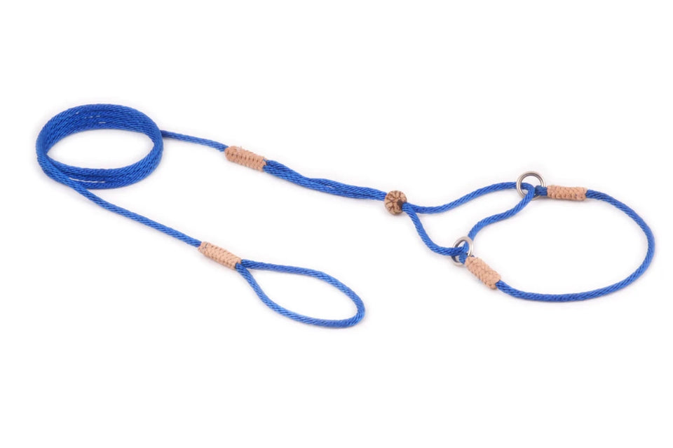 Nylon Martingale Leads (8 in x 1/16 or 2 mm) - Pets Perfect