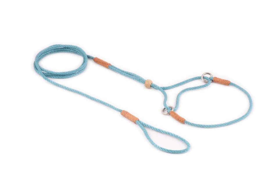 Nylon Martingale Leads (8 in x 1/16 or 2 mm) - Pets Perfect