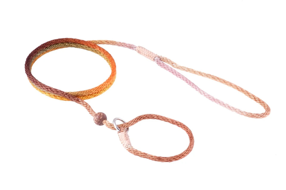 Nylon Slip Lead With Stopper (4 ft x 1/8 in or 4 mm) - Pets Perfect
