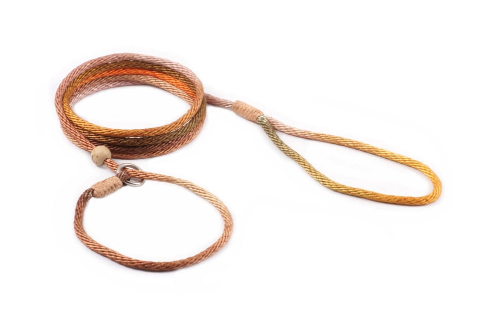 Nylon Slip Lead With Stopper (6 ft x 1/8 in or 4 mm) - Pets Perfect