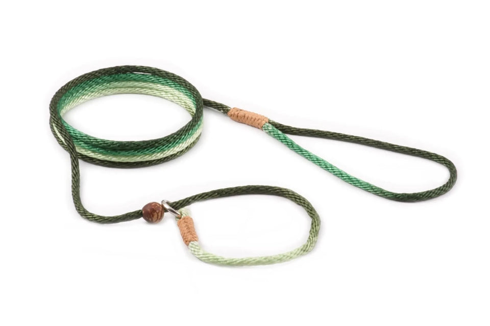 Nylon Slip Lead With Stopper (6 ft x 1/8 in or 4 mm) - Pets Perfect