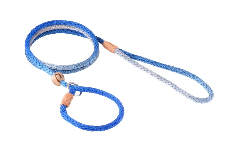 Nylon Slip Lead With Stopper (6 ft x 1/8 in or 4 mm) - Pets Perfect