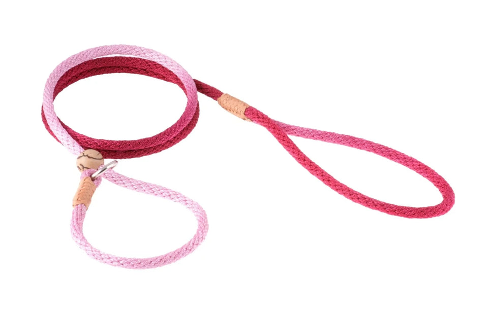 Nylon Slip Lead With Stopper (6 ft x 1/8 in or 4 mm) - Pets Perfect