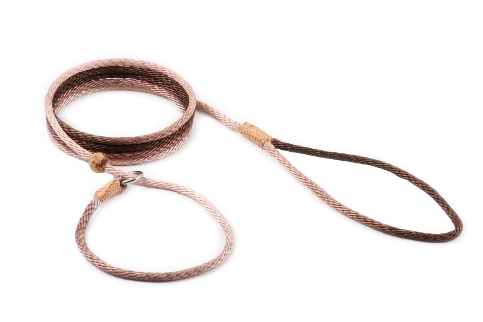 Nylon Slip Lead With Stopper (6 ft x 1/8 in or 4 mm) - Pets Perfect