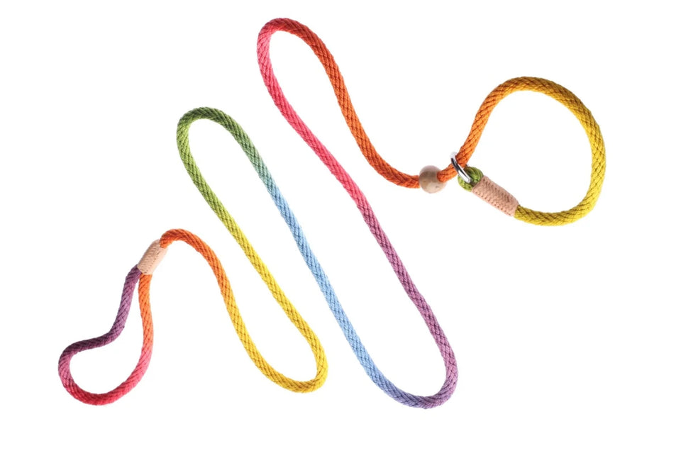 Nylon Slip Dog Leash With 2 Stoppers (6 ft x 5/16 in or 8 mm) - Pets Perfect