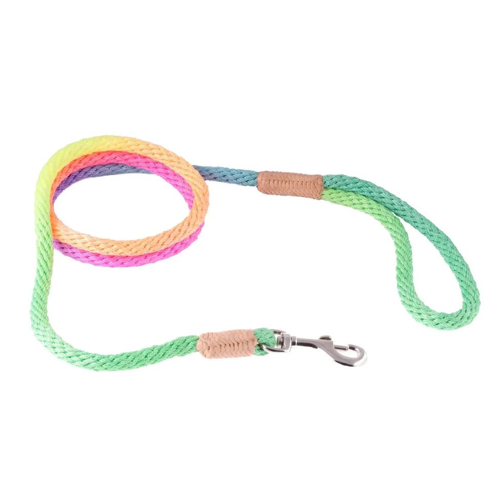 Nylon Snap Leads (4 ft x 1/8 in or 4 mm) - Pets Perfect