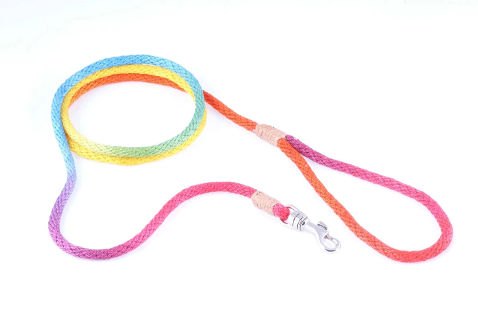 Nylon Snap Leads (4 ft x 1/8 in or 4 mm) - Pets Perfect