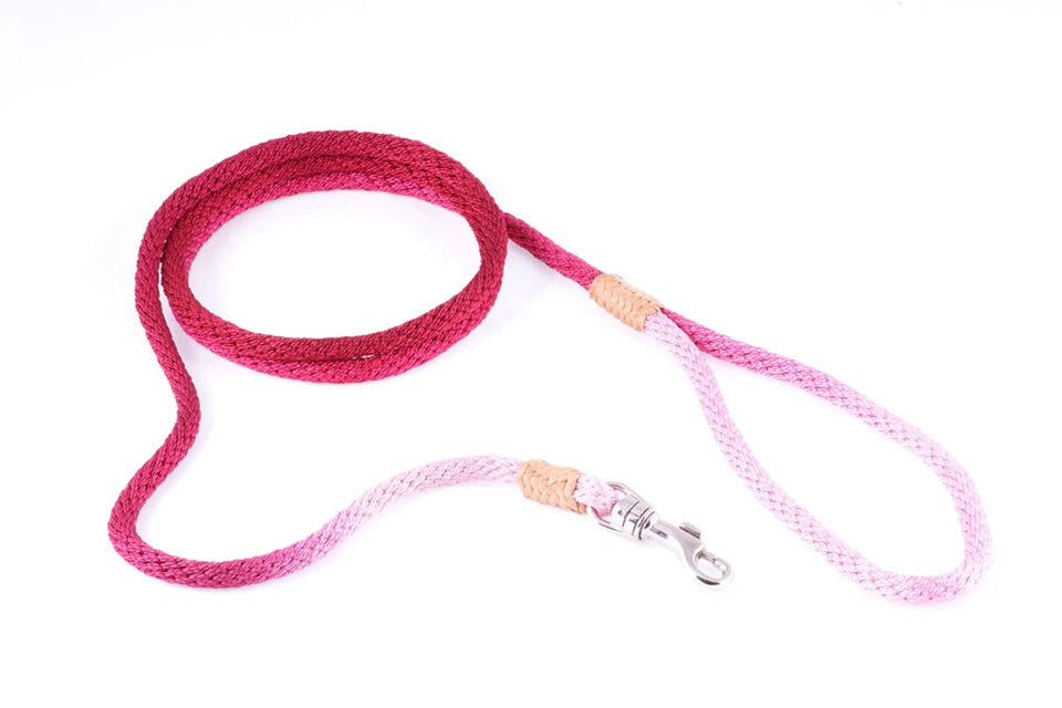 Nylon Snap Leads (4 ft x 1/8 in or 4 mm) - Pets Perfect