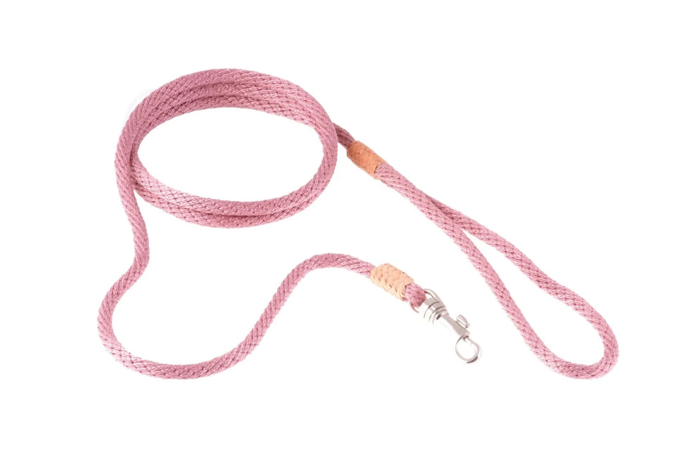 Nylon Snap Leads (4 ft x 1/8 in or 4 mm) - Pets Perfect