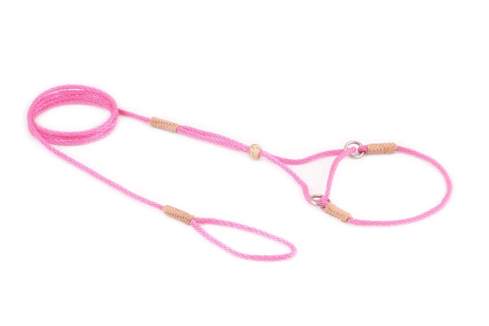 Nylon Martingale Leads (8 in x 1/16 or 2 mm) - Pets Perfect