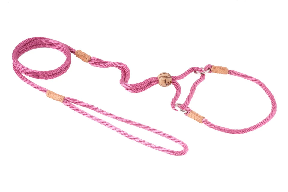 Nylon Martingale Leads (10 in x 1/8 in or 4 mm) - Pets Perfect