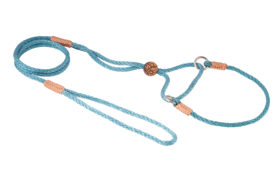 Nylon Martingale Leads (10 in x 1/8 in or 4 mm) - Pets Perfect