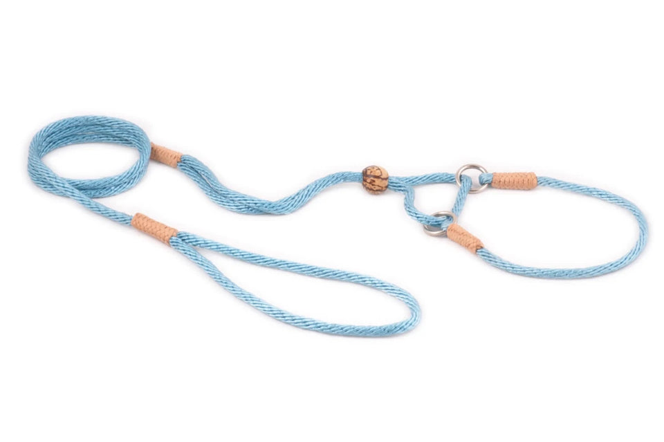 Nylon Martingale Leads (10 in x 1/8 in or 4 mm) - Pets Perfect