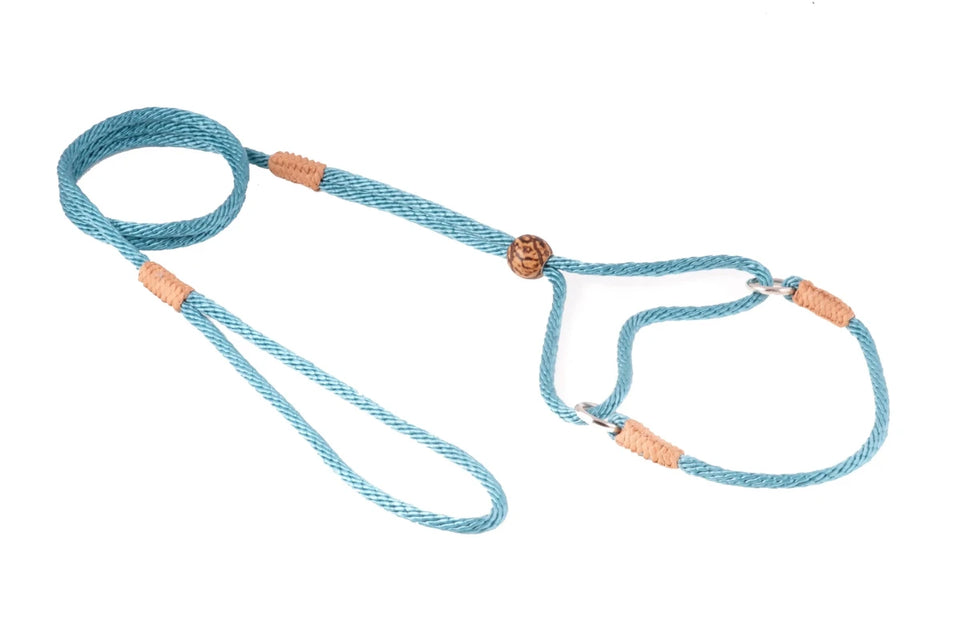 Nylon Martingale Leads (8 in x 1/8 in or 4 mm) - Pets Perfect