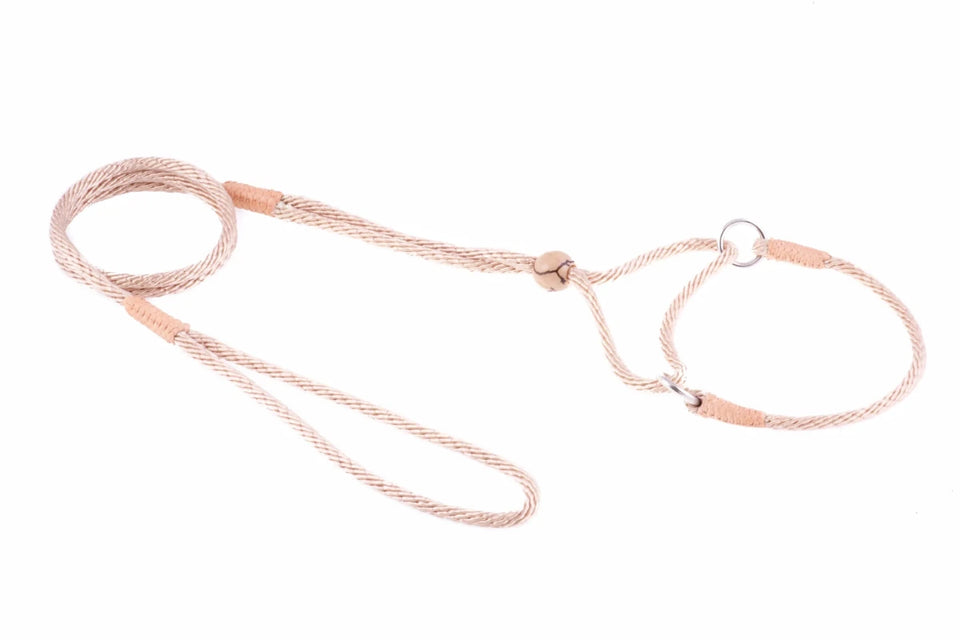 Nylon Martingale Leads (8 in x 1/8 in or 4 mm) - Pets Perfect