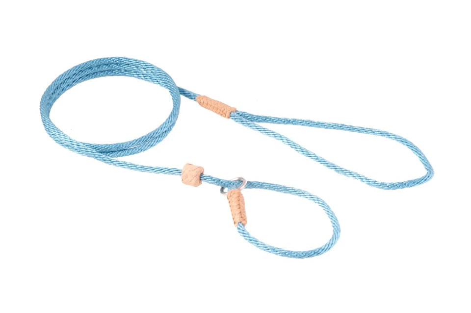 Nylon Slip Lead With Stopper (4 ft x 1/8 in or 4 mm) - Pets Perfect