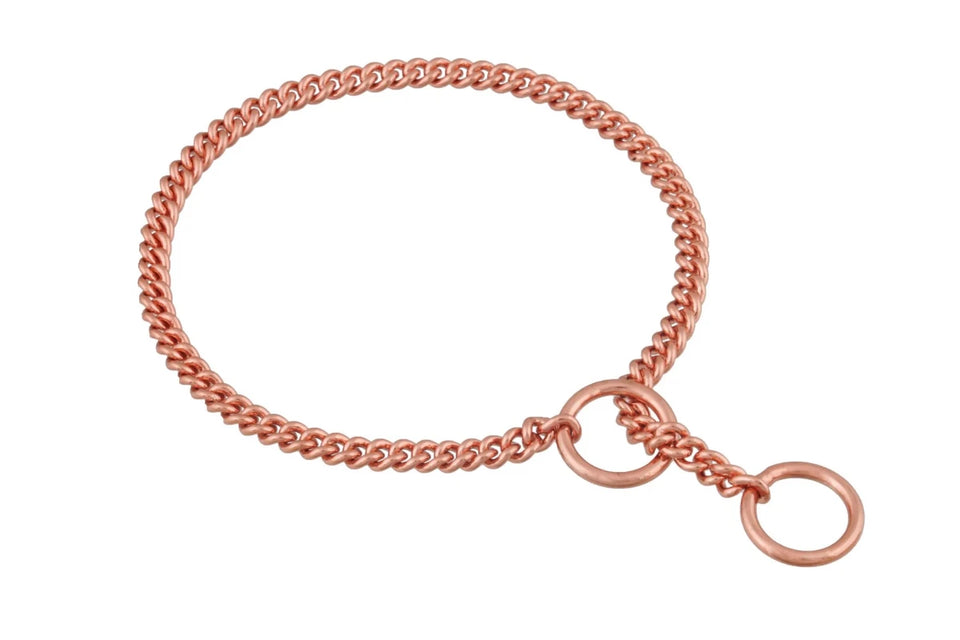 Slip Curve Show Chain Dog Collar (12 in x 1.2 mm) - Pets Perfect
