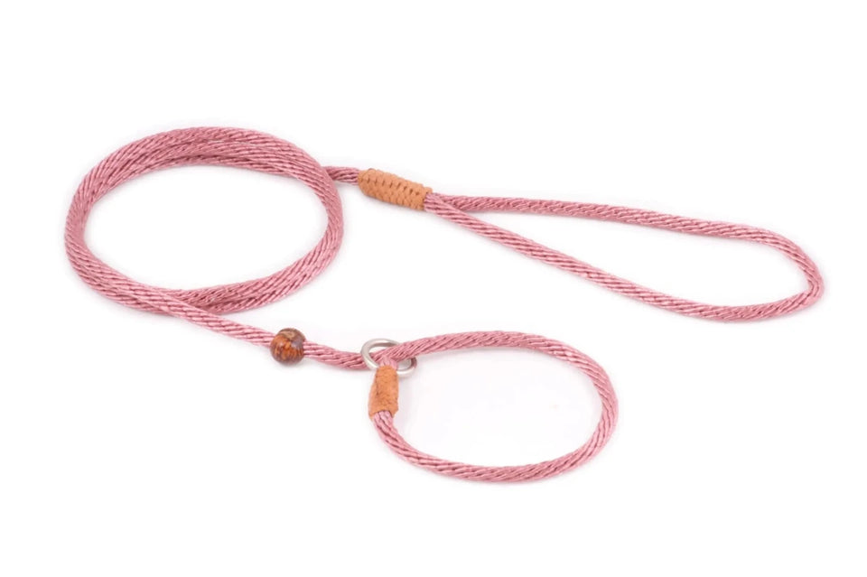 Nylon Slip Lead With Stopper (4 ft x 1/8 in or 4 mm) - Pets Perfect