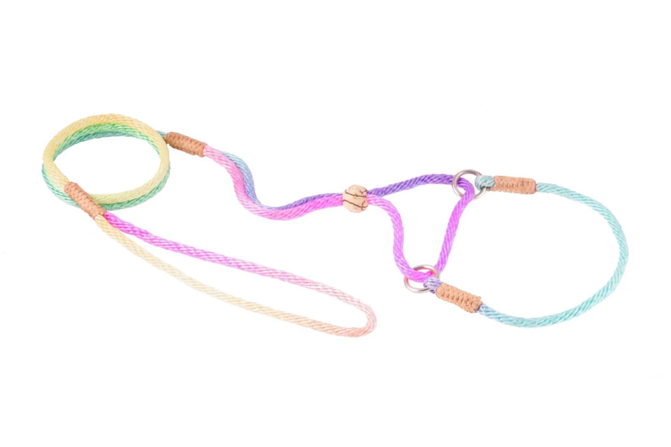Nylon Martingale Leads (10 in x 1/8 in or 4 mm) - Pets Perfect
