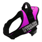 Explosafe Pet Leash: The Ultimate Safety Harness For Your Furry Friend - Pets Perfect