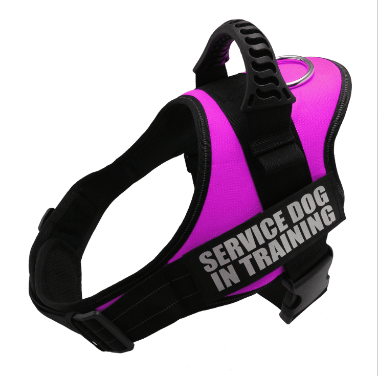 Explosafe Pet Leash: The Ultimate Safety Harness For Your Furry Friend - Pets Perfect