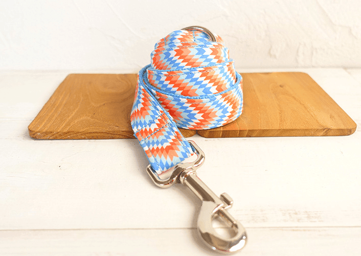 Patterned Dog Collar - Orange Blue Design - Pets Perfect