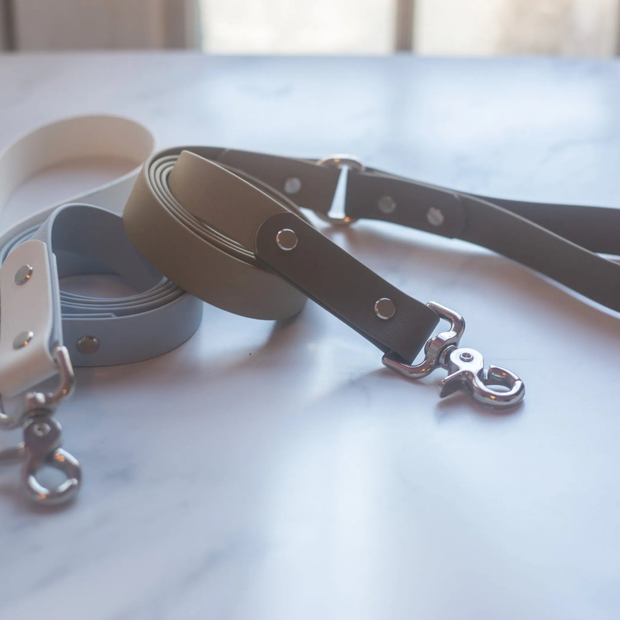Biothane Leash - Two Toned - Style 2
