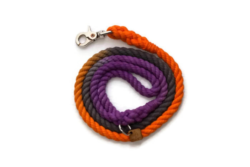 Rope Dog Leash - Pets Perfect