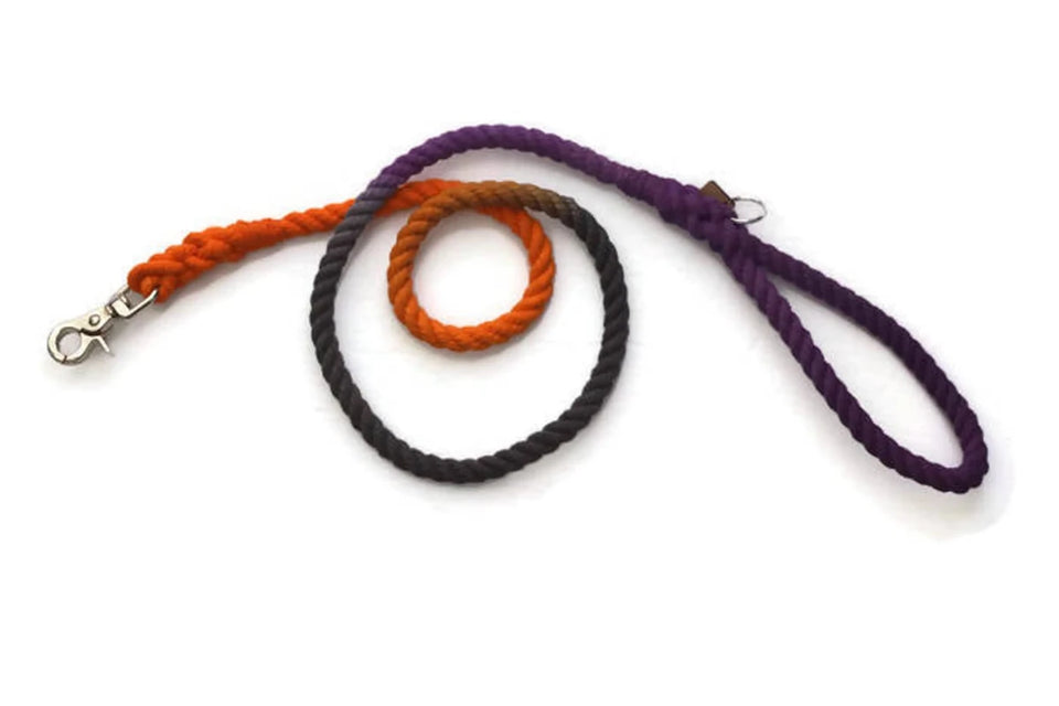 Rope Dog Leash - Pets Perfect