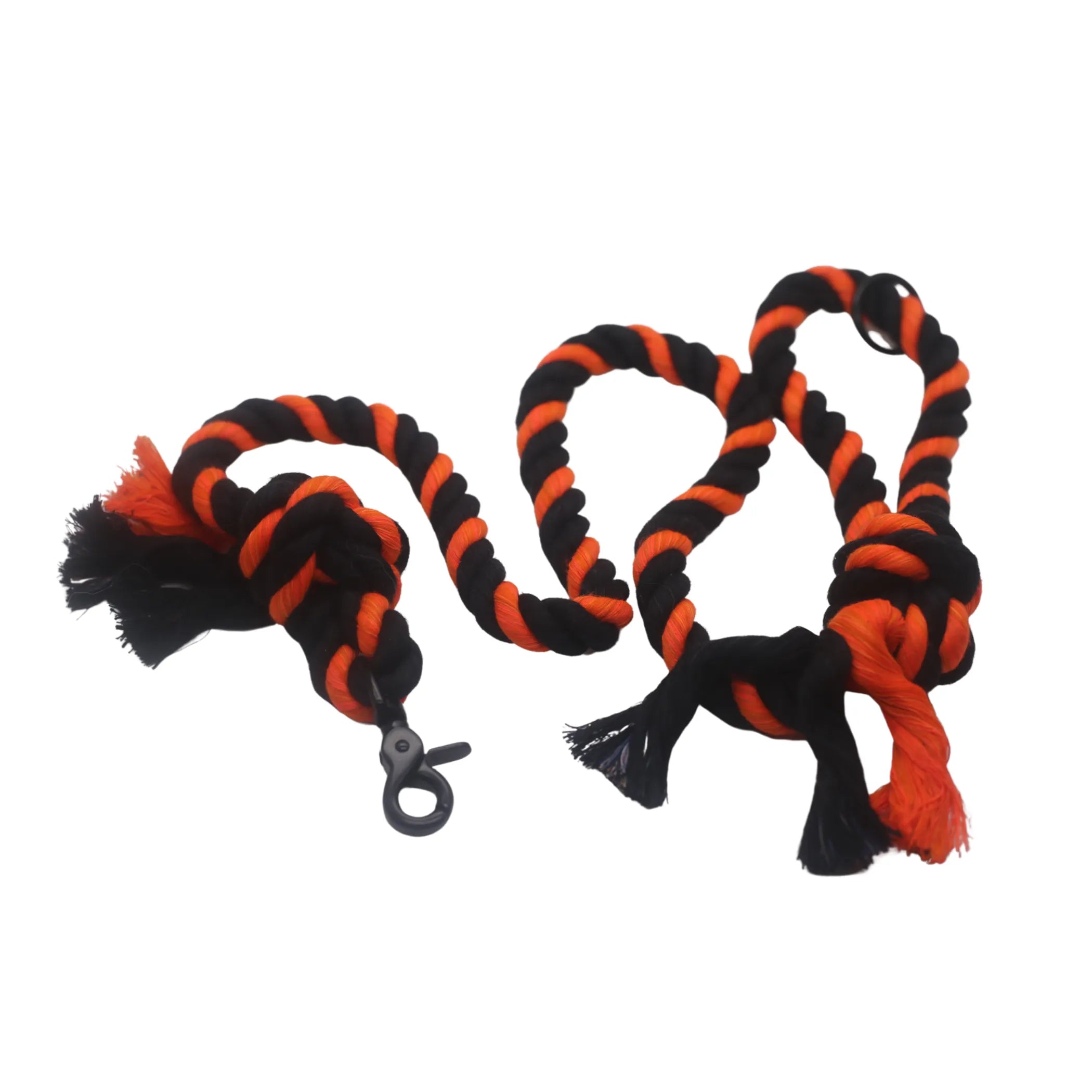 Halloween Leash