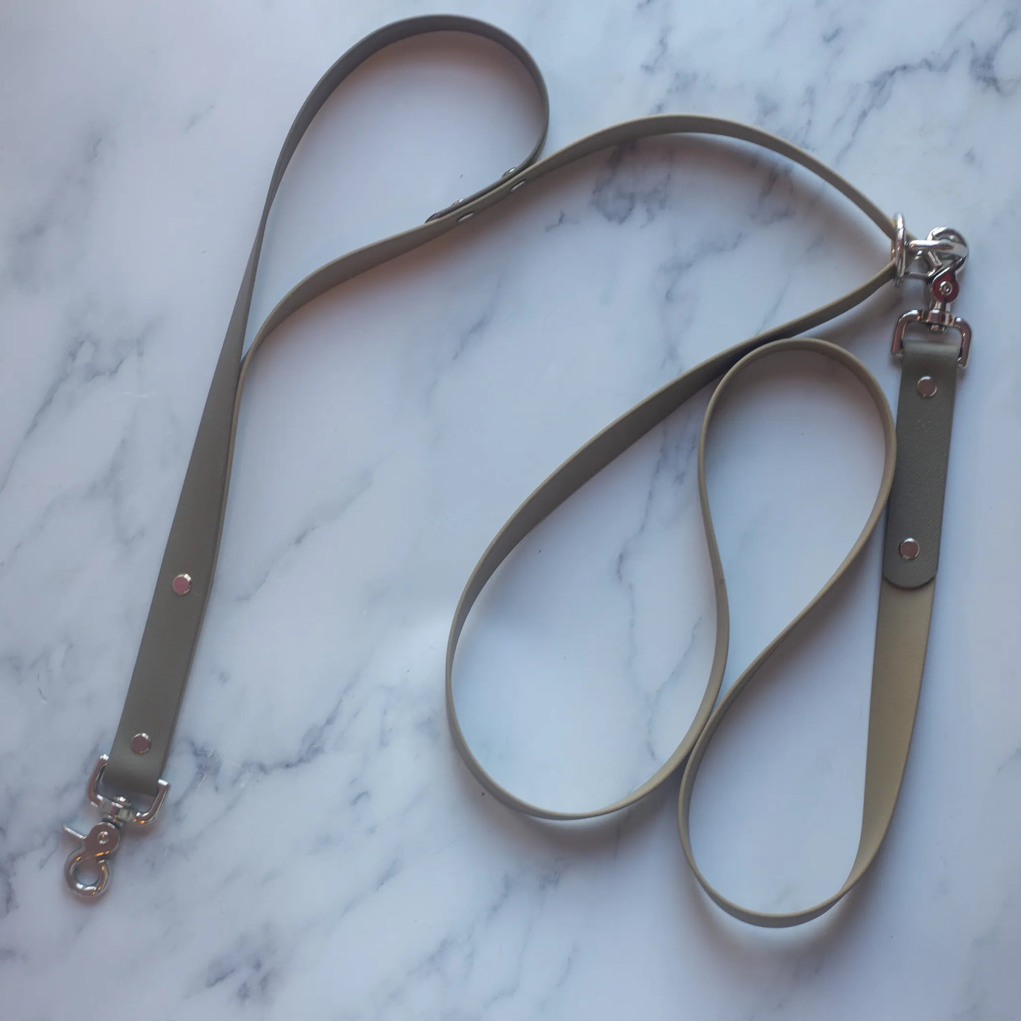 Hands Free Biothane Leash