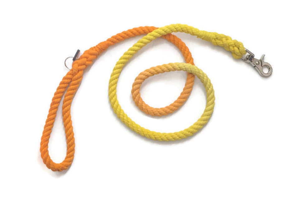 Rope Dog Leash - Pets Perfect