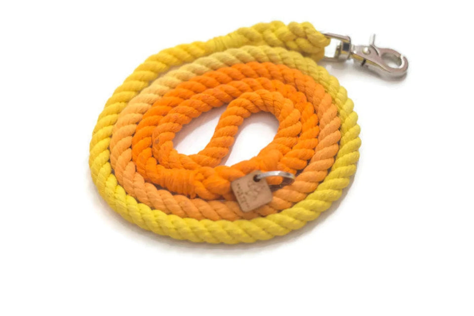 Rope Dog Leash - Pets Perfect