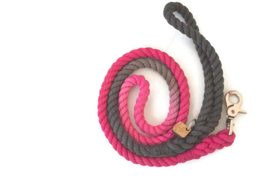 Rope Dog Leash - Pets Perfect